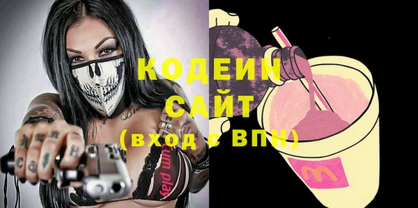 прущие грибы Новозыбков