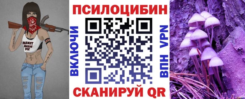 закладки  Спасск-Дальний  Галлюциногенные грибы MAGIC MUSHROOMS 